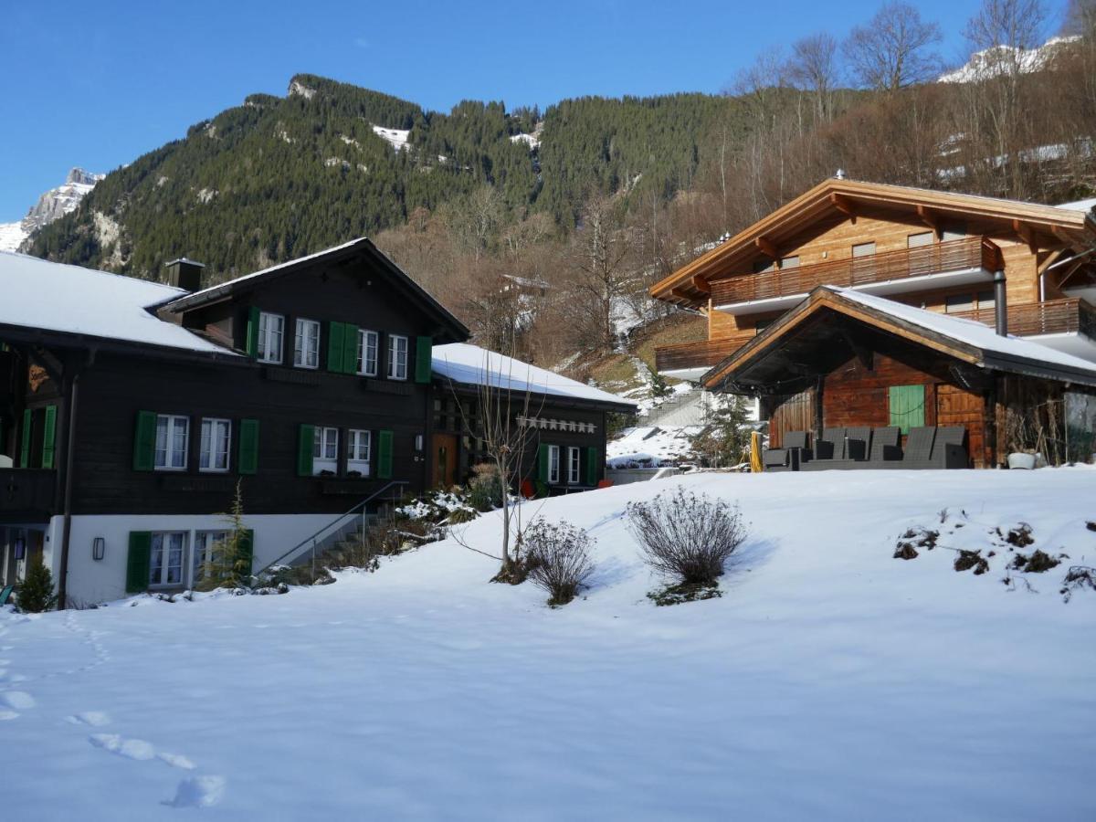 Apartment Apartment Schwendihus By Interhome Grindelwald