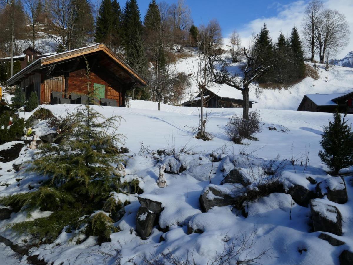 Appartamento Schwendihus By Interhome Grindelwald