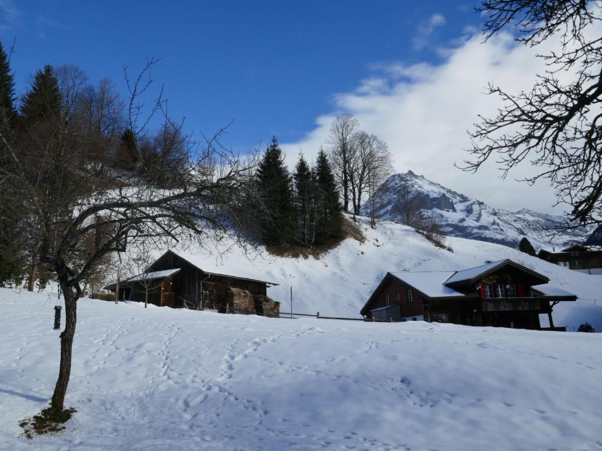 Appartamento Schwendihus By Interhome