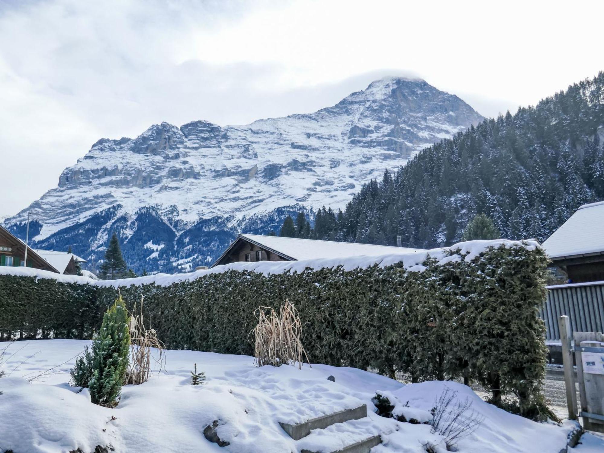 Apartment Schwendihus By Interhome Grindelwald