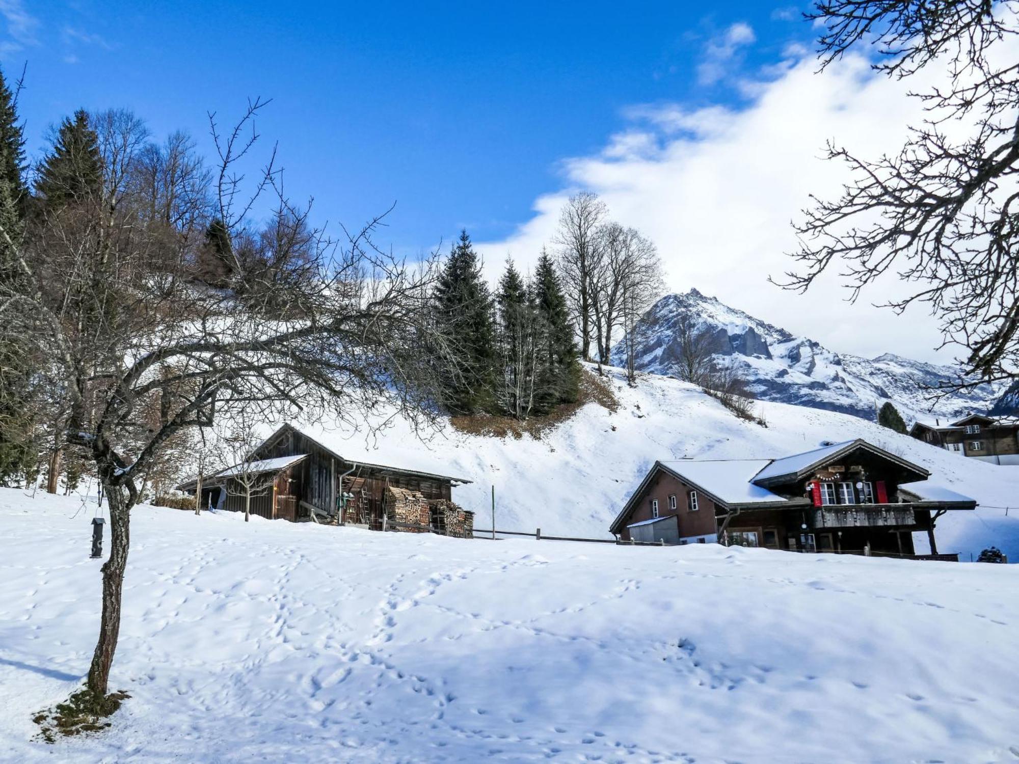 Schwendihus By Interhome Appartamento *